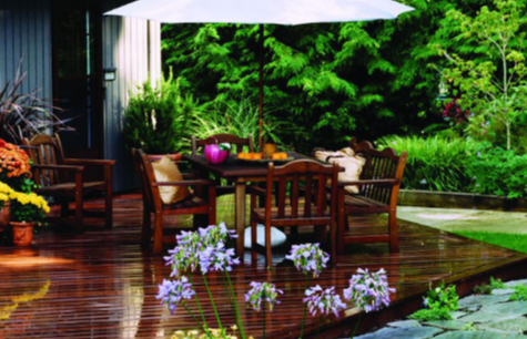 Ipe Wood: The Eco-Friendly Solution for Your Decking Needs