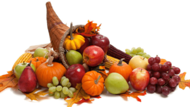 Clip Art:-C6bicirzqe= Cornucopia