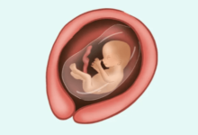 Baby:2vq_Bu2uoxk= 20 Weeks Pregnant