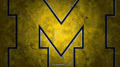 Logo:34nudidlysi= Michigan Wolverines Football