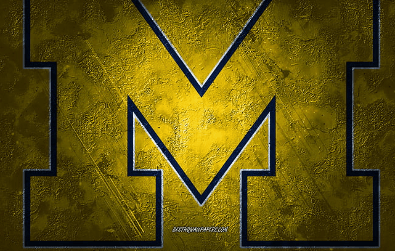 Logo:34nudidlysi= Michigan Wolverines Football