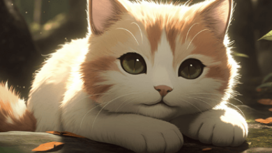 Anime:6j_67cx_Pgi= Cat Cute