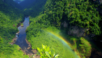 Beautiful:Aqfxiqtff0i= Guyana