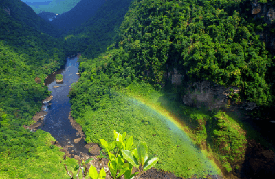 Beautiful:Aqfxiqtff0i= Guyana