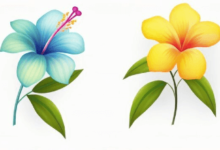 Clipart:R5hk-Xlkdh8= Hawaiian Flower