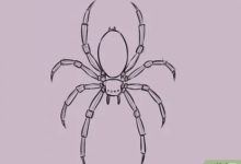 Sketch:B5mkfs1u4o0= Spider Drawing