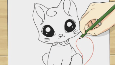 Cute:Hncy3-8rou0= How to Draw a Cat