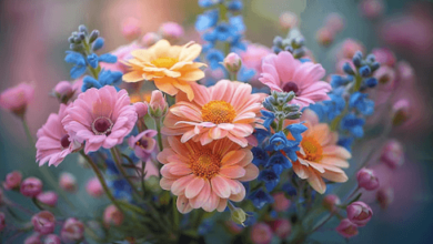 Beautiful:0w0a7mxqt9k= Flowers Images