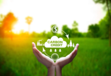 Maximising Land Value Through Carbon Farming and Natural Capital