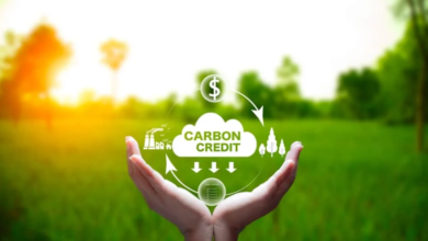 Maximising Land Value Through Carbon Farming and Natural Capital