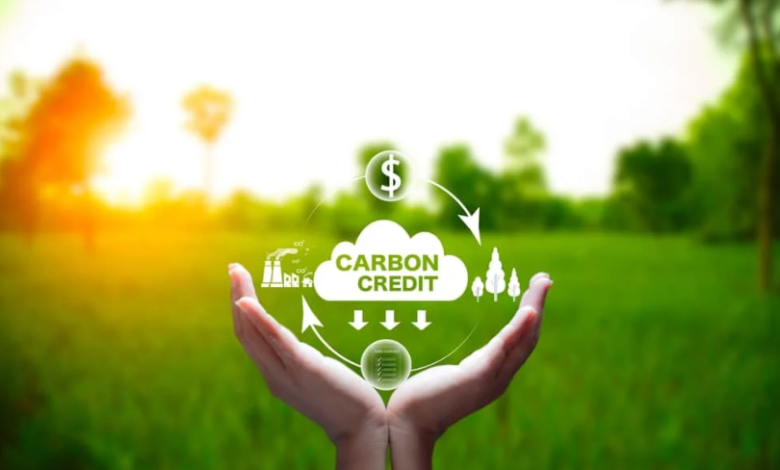 Maximising Land Value Through Carbon Farming and Natural Capital