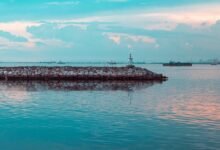 growth tracker beacon horizon