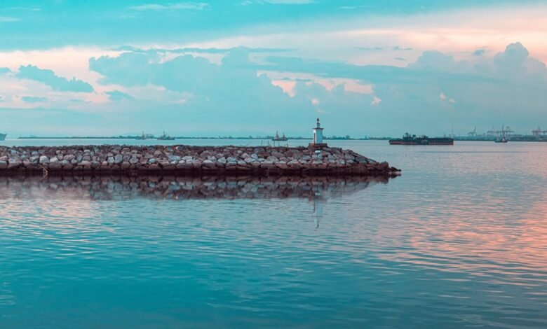 market maximizer beacon horizon 5053881646