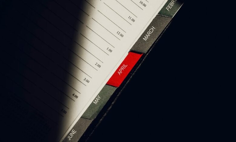 seo planner for beacon pulse