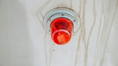 seo tracker beacon lens release