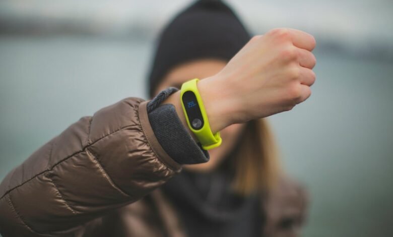 seo tracker identifier 5043842447