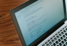 elevate your business online