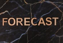 nyvejvejr weather forecasting features