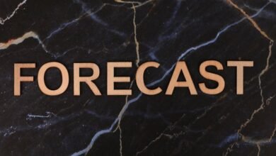 nyvejvejr weather forecasting features