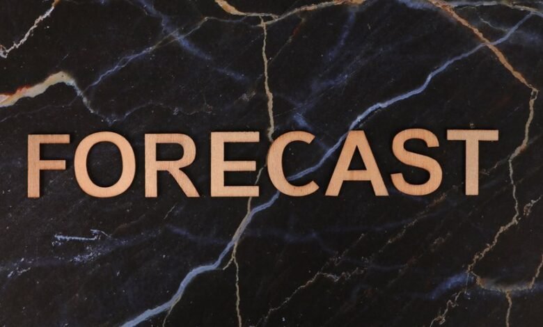 nyvejvejr weather forecasting features
